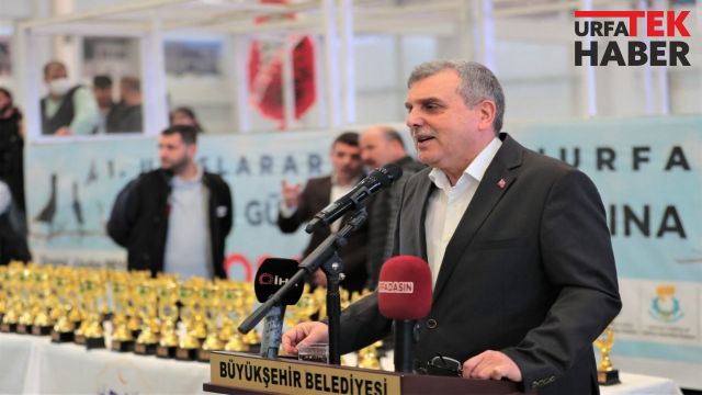 Farklı ülkelerden getirilen güvercinler Urfa’da yarıştı