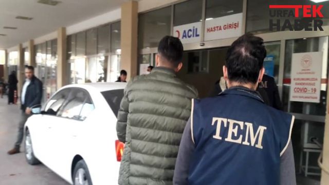 Şanlıurfa’da dev terör operasyonu!