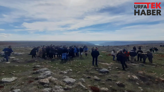 Mezopotamya Sümbülü için kilometrelerce yürüdüler