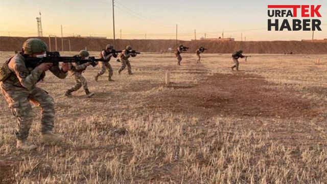 Urfa sınırında saldırı hazırlığında olan teröristler etkisiz hale getirildi