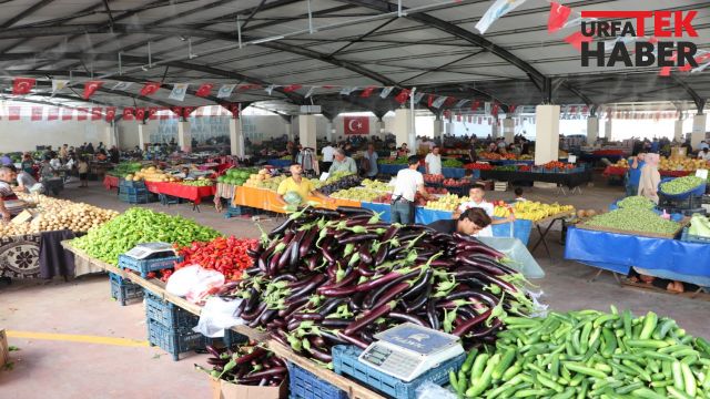 BAŞKAN CANPOLAT’IN İLÇEYE KAZANDIRDIĞI PROJE BÖLGEYE NEFES ALDIRDI