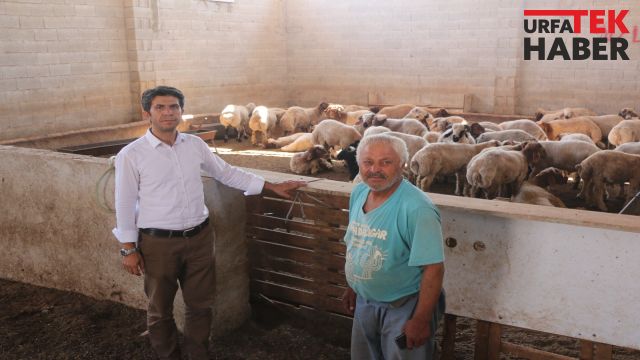 HÜDA PAR İL BAŞKANI: URFALILAR OLARAK TÜRKİYE'DE BİR İLK'İ BAŞARALIM