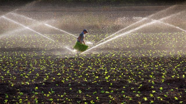 ELEKTRİK FATURALARI HASAT SONRASI ÖDENEBİLECEK