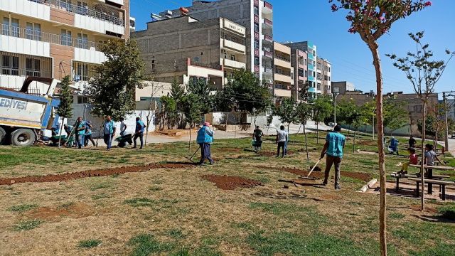 EYYÜBİYE’DE YEŞİLENDİRME ÇALIŞMALARI DEVAM EDİYOR