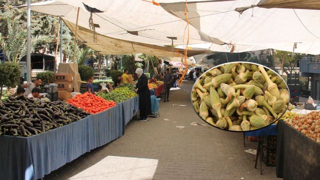 PAZARIN EN PAHALISI BAMYA