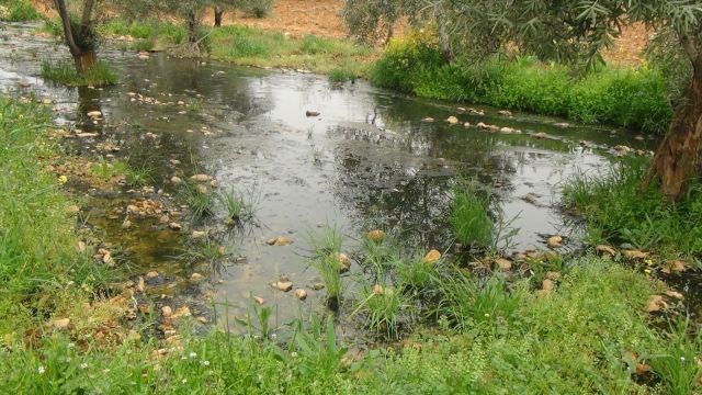 HALFETİ’DEKİ KANALİZASYON SKANDALINDA “DOSTANE ÇÖZÜM” KARARI