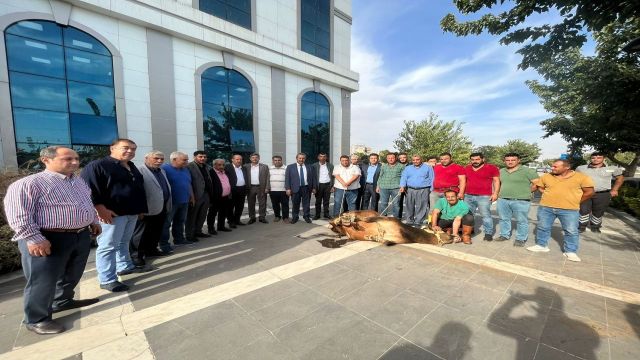 YENİDEN ŞUTB BAŞKANI SEÇİLEN KAYA, TEBRİKLERİ KABUL EDİYOR