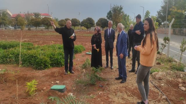 DÜNYANIN EN DEĞERLİ BAHARATINI URFA’YA YENİDEN KAZANDIRDI