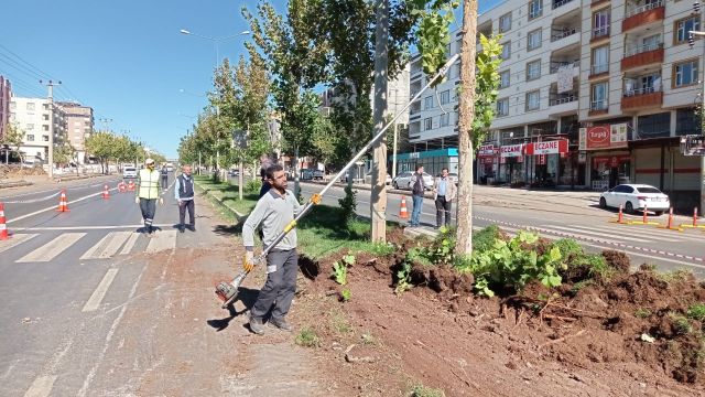 PARKLARDA ÇEVRE DÜZENLEME ÇALIŞMALARI SÜRÜYOR