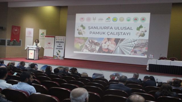 URFA’DA “PAMUK ÇALIŞTAYI” YAPILDI