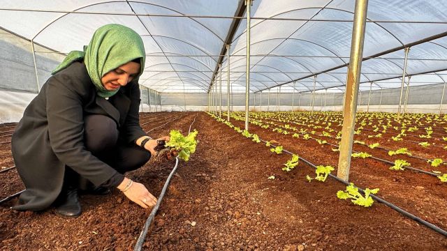 BAŞKAN ÇAKMAK, SERADA İLK SEBZE ÜRÜNLERİNİN EKİMİNİ YAPTI