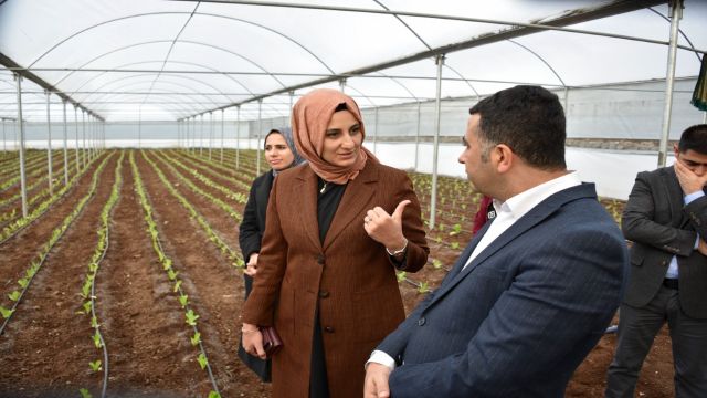 KAYMAKAM GÖLBAŞI SERA ALANINDA İNCELEMELERDE BULUNDU