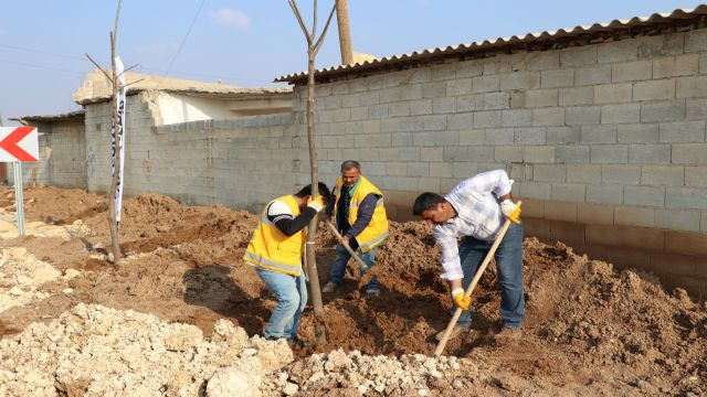 BÜYÜKŞEHİR’DEN FARKLI BÖLGELERDE AĞAÇLANDIRMA ÇALIŞMASI