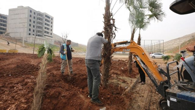 EYYÜBİYE KİTO DERESİ’NDE AĞAÇLANDIRMA DEVAM EDİYOR