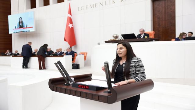 HDP'Lİ VEKİL ELEKTRİK KESİNTİLERİNİ MECLİS'E TAŞIDI