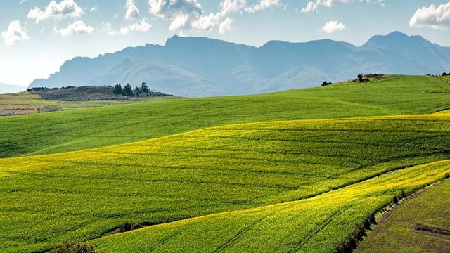 DEPREM BÖLGE ÇİFTÇİSİNİ NASIL ETKİLEDİ? TZOB DURUM DEĞERLENDİRMESİ YAPTI!