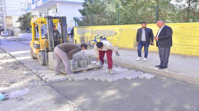 BAŞKAN SOYLU, CEYLANPINAR’DA SÜRDÜRÜLEN ÇALIŞMALARI YERİNDE İNCELEDİ