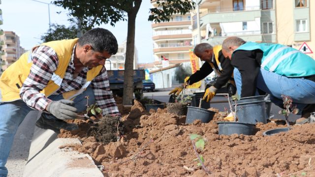 BÜYÜKŞEHİR’DEN KENT GENELİNDE ÇİÇEK EKİMİ