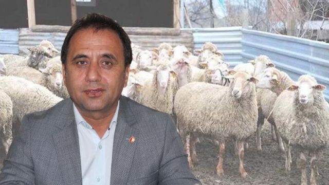 Aşılamalar devam ediyor Urfa’da şap hastalığı yok