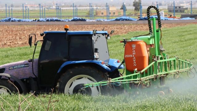 Büyükşehir Belediyesinden buğday ilaçlama ve bakım çalışmaları