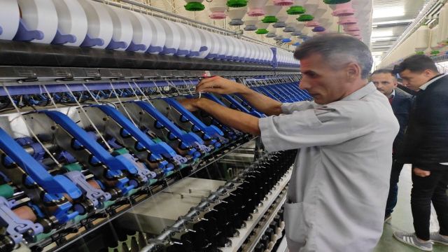 Harran Üniversitesi’nden pamuk üretimi ile ilgili proje! Türkiye'de ilk olacak