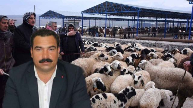 Şanlıurfa’da hayvan pazarı yeniden açılıyor