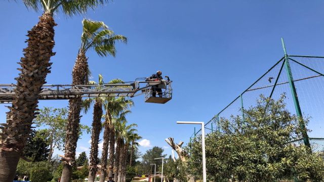 Urfa’da halı sahanın filesine takılan kuş kurtarıldı