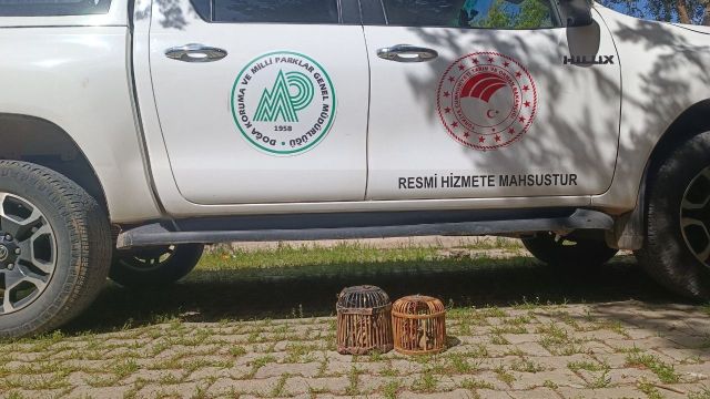 Urfa’da usulsüz avlanan 1 kişiye idari işlem