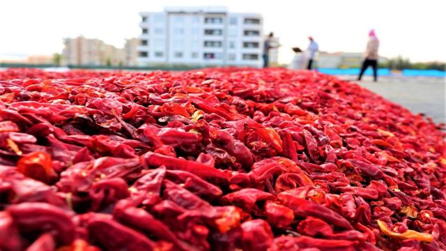 Urfa’nın ihracat ve ithalat rakamları açıklandı!