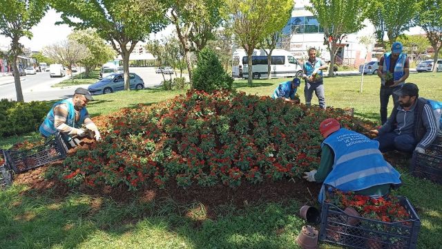 Eyyübiye parkları çiçeklerle renkleniyor