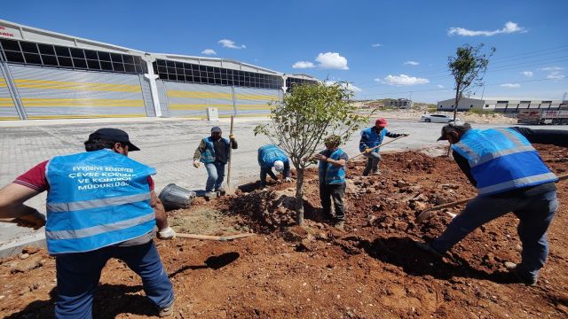 Eyyübiye’de ağaçlandırma çalışmaları sürüyor