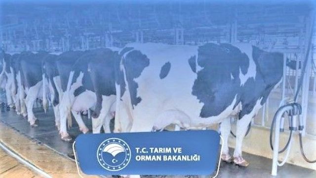 Tarımsal destek ödemleri bugün hesaplara yatıyor