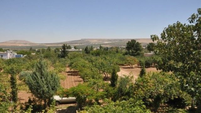 Şanlıurfa'da arazi anlaşmazlığında Tülmen'in itirazı